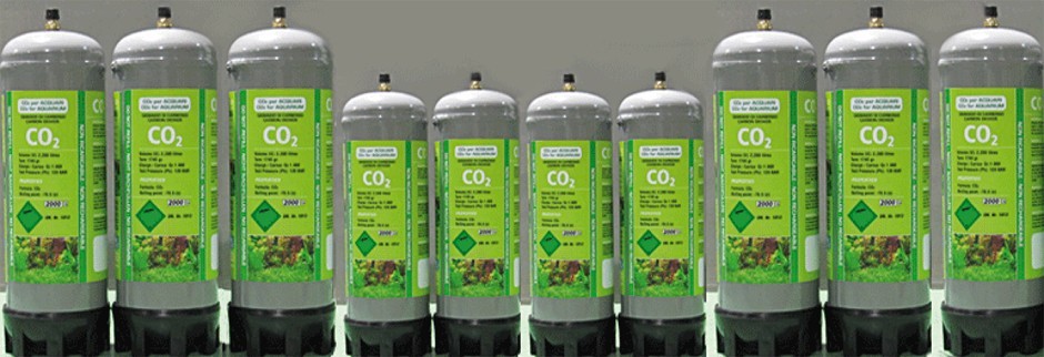 Bouteille MaxxiLine de gaz jetable 100% CO2 (dioxyde de carbone) pour l'aquariophilie